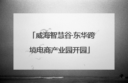 威海智慧谷·东华跨境电商产业园开园