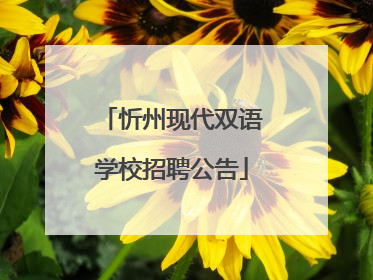 忻州现代双语学校招聘公告