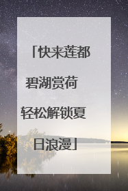 快来莲都碧湖赏荷 轻松解锁夏日浪漫