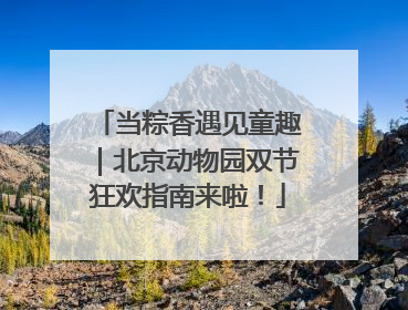 当粽香遇见童趣｜北京动物园双节狂欢指南来啦！