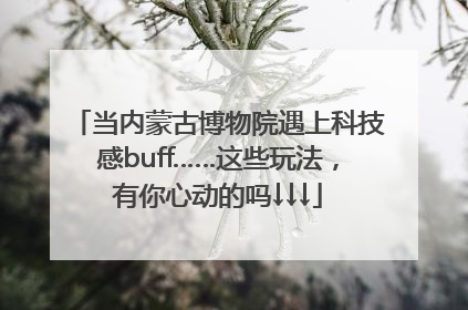 当内蒙古博物院遇上科技感buff……这些玩法，有你心动的吗↓↓↓