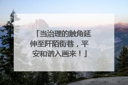 当治理的触角延伸至阡陌街巷，平安和谐入画来！
