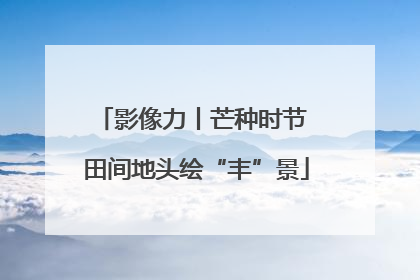 影像力丨芒种时节 田间地头绘“丰”景