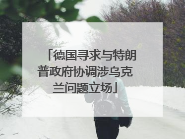 德国寻求与特朗普政府协调涉乌克兰问题立场