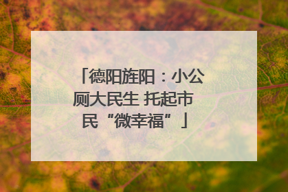 德阳旌阳：小公厕大民生 托起市民“微幸福”