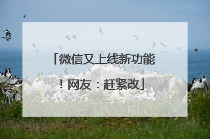 微信又上线新功能！网友：赶紧改