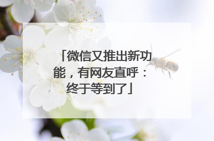 微信又推出新功能，有网友直呼：终于等到了
