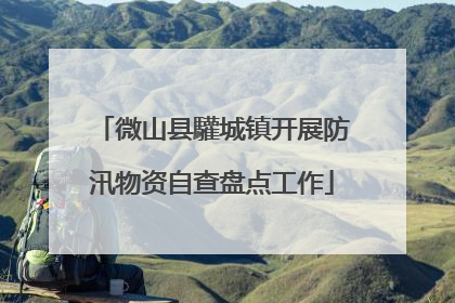 微山县驩城镇开展防汛物资自查盘点工作