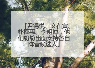 尹锡悦、文在寅、朴槿惠、李明博，他们纷纷出面支持各自阵营候选人
