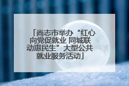 尚志市举办“红心向党促就业 同城联动惠民生”大型公共就业服务活动