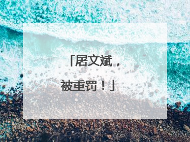屠文斌，被重罚！