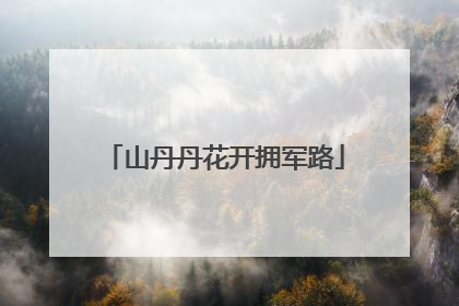 山丹丹花开拥军路