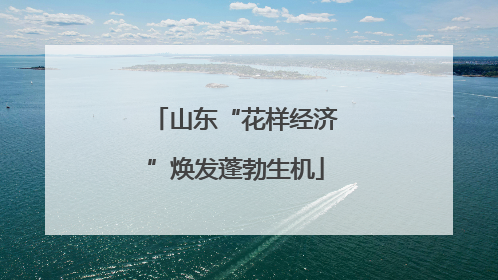 山东“花样经济”焕发蓬勃生机