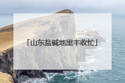 山东盐碱地里丰收忙