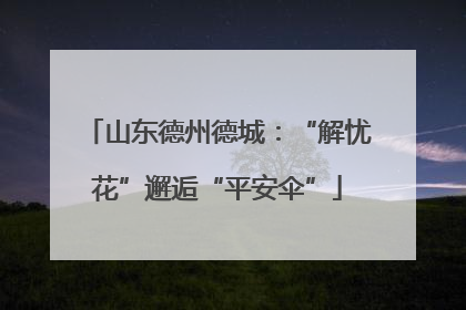 山东德州德城：“解忧花”邂逅“平安伞”