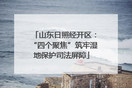 山东日照经开区：“四个聚焦”筑牢湿地保护司法屏障