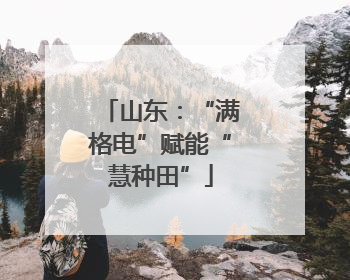 山东：“满格电”赋能“慧种田”