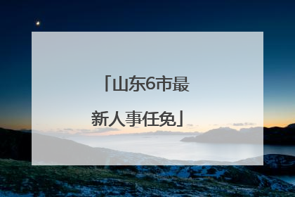 山东6市最新人事任免