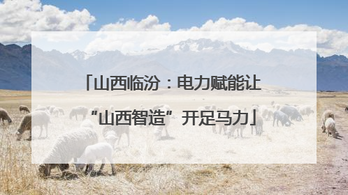 山西临汾：电力赋能让“山西智造”开足马力