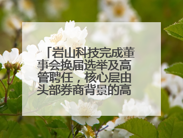 岩山科技完成董事会换届选举及高管聘任，核心层由头部券商背景的高管掌控