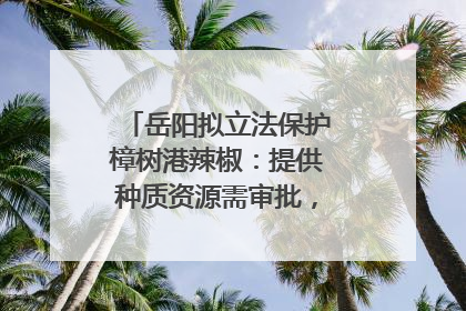 岳阳拟立法保护樟树港辣椒：提供种质资源需审批，违规最高罚5万