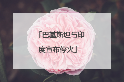 巴基斯坦与印度宣布停火