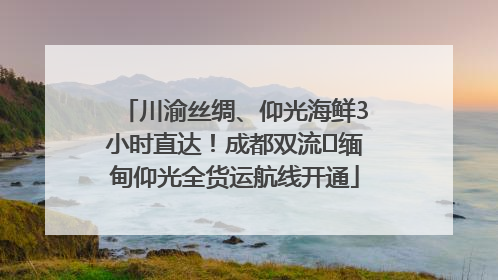 川渝丝绸、仰光海鲜3小时直达！成都双流⇌缅甸仰光全货运航线开通