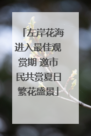 左岸花海进入最佳观赏期 邀市民共赏夏日繁花盛景