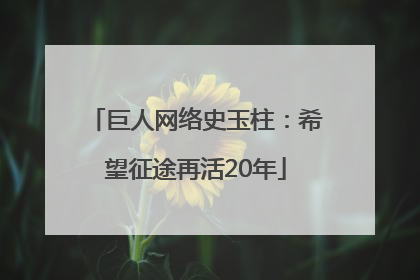 巨人网络史玉柱：希望征途再活20年