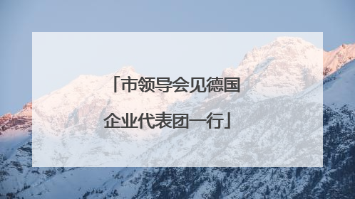 市领导会见德国企业代表团一行