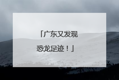 广东又发现恐龙足迹！