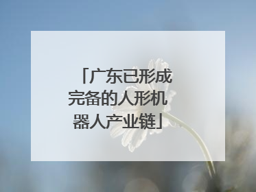 广东已形成完备的人形机器人产业链