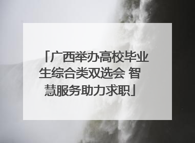 广西举办高校毕业生综合类双选会 智慧服务助力求职