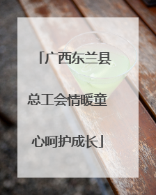 广西东兰县总工会情暖童心呵护成长