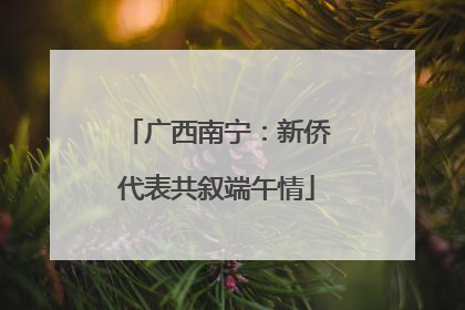 广西南宁：新侨代表共叙端午情