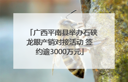 广西平南县举办石硖龙眼产销对接活动 签约逾3000万元