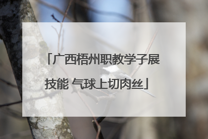 广西梧州职教学子展技能 气球上切肉丝