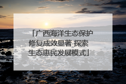 广西海洋生态保护修复成效显著 探索生态惠民发展模式