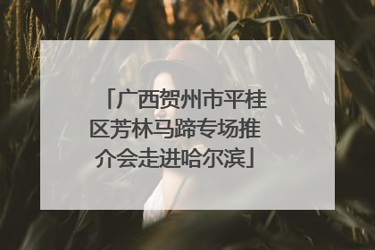 广西贺州市平桂区芳林马蹄专场推介会走进哈尔滨