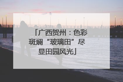 广西贺州：色彩斑斓“玻璃田”尽显田园风光