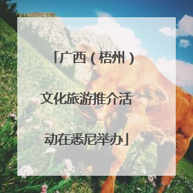广西（梧州）文化旅游推介活动在悉尼举办