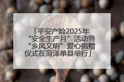 平安产险2025年“安全生产月”活动暨“乡风文明”爱心捐赠仪式在菏泽单县举行