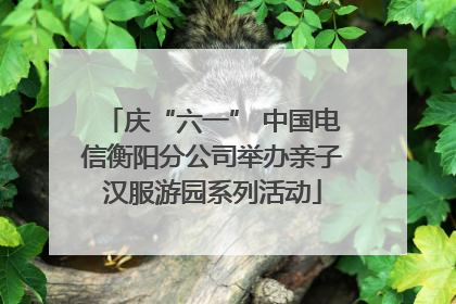 庆“六一” 中国电信衡阳分公司举办亲子汉服游园系列活动