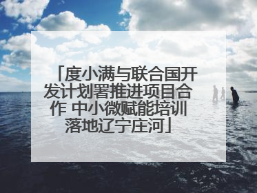 度小满与联合国开发计划署推进项目合作 中小微赋能培训落地辽宁庄河