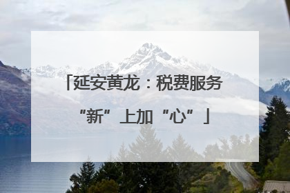 延安黄龙：税费服务“新”上加“心”