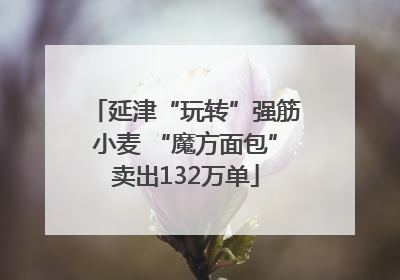 延津“玩转”强筋小麦 “魔方面包”卖出132万单
