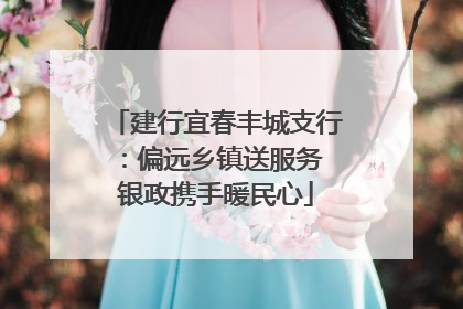 建行宜春丰城支行：偏远乡镇送服务 银政携手暖民心