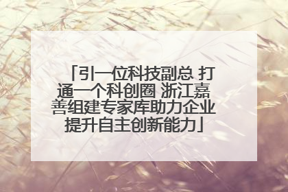 引一位科技副总 打通一个科创圈 浙江嘉善组建专家库助力企业提升自主创新能力