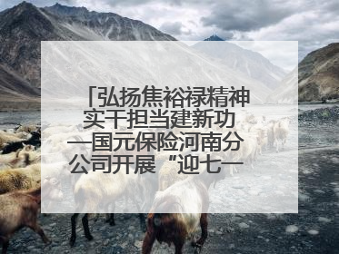 弘扬焦裕禄精神 实干担当建新功—国元保险河南分公司开展“迎七一”主题党日活动