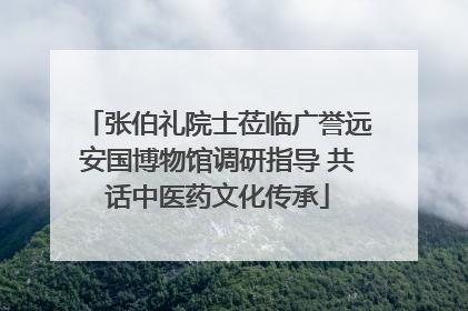 张伯礼院士莅临广誉远安国博物馆调研指导 共话中医药文化传承
